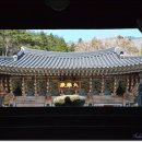 대도장 이미지