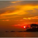 빈 하루 이미지