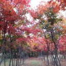 초등 감성미술 이미지