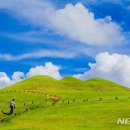 문화재지역 주민공감정책 이미지