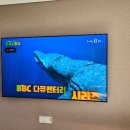 화성1세천 이미지