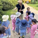 나무와새어린이집 이미지