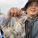 킹콩피싱 네이버블로그