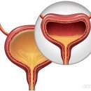온천천로 이미지