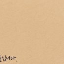 인천부평 요미독앤캣 강아지분양 고양이분양 이미지