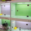 임피리얼펫 이미지