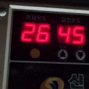 10월24일(토) 김밥축제취소, 배시내석쇠구이, 대추, 고추건조 이미지