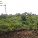 회성동102 이미지