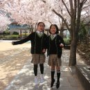 인성초등학교 이미지