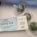 25.10.9.솔바람 테마파크/남당항 대하축제/비츠카페(헬로지기님 리딩) 이미지