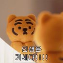 조여사김밥 - 군산시 수송남로 22 | 집밥 여름이