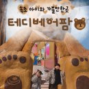 꼬꼬팜 | 속초 테디베어팜 아이와 가볼 만한 곳 실내 전시 추천