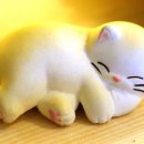 청국장전문점 Daum카페