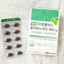 삼진환경 | 삼진제약 듀얼 프로폴리스 플라보노이드 추천 후기