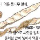 열매 - 강화군 대산길144번길 2 | 열매