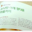 키 작은 소나무 숲 (삼송 14단지 작은 도서관) - 지역 자치 공동체로 성장 이미지