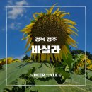 하얀천국 | [경주 카페] 해바라기 가득한 포토존 천국, 바실라 솔직 후기