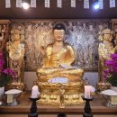 남산 홍주사 이미지