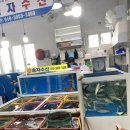 의창수협67번중도매인 | 전어맛집, 청게맛집: 진해 용원어시장에서 전어회, 전어구이,청게 후기