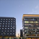 더 갤러리 모던 | [교토숙소추천] 사쿠라 테라스 더 갤러리 내돈내산 후기🧳