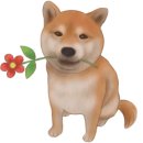 산청동물병원 이미지