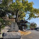 민속촌자동판매기 - 용인시 기흥구 | 민속촌자동판매기