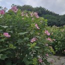 제주민속촌 이미지