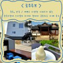 덕목5길 | 안국 / 예쁘고 다양한 디저트가 있는 한옥+현대 스타일의 과거와 현대가 공존하는 카페 내 돈 내산 후기