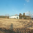 이교뒷들 이미지