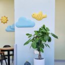 바른오늘의원 이미지