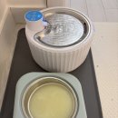 멍박스 | 영양소와 수분을 한 번에 멍샷 마시는비타민 급여후기