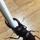 주빈농장 이미지