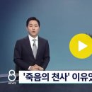 2023. 3. 2. 하늘 위 '죽음의 천사'…"맞는 입장에선 지옥이 따로 없죠" / SBS 8뉴스 이미지