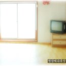 샘물민박
