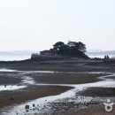 안면도 북부