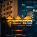 메종동물병원 이미지