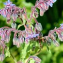 홍익약국 이미지