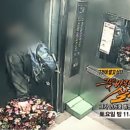 제주집2006