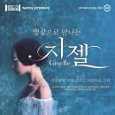 솜리문화예술회관 중공연장 이미지