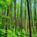 금대봉대덕산-/ 45.000/"<b>우리은행</b>...