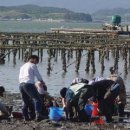 송정4리 이미지