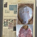 도라지식당 Daum카페