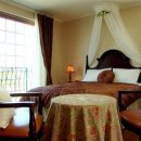 제주 플로라 이미지