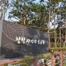새이름 이미지