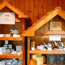 허브빌리지(파머스테이블) | 주말 나들이 연천 허브빌리지 라벤더 축제