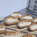 브라운도트 제천화산점 이미지