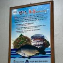 명서시장 | [창원 맛집] 명서시장 향어회 송림 횟집 내돈내산 후기