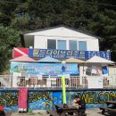 2011/10/26 양양 동산항 다이빙 이미지