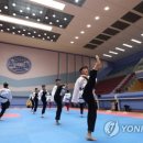 한반도태권도 이미지