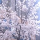 파파철판곱창 | 26 • Apr